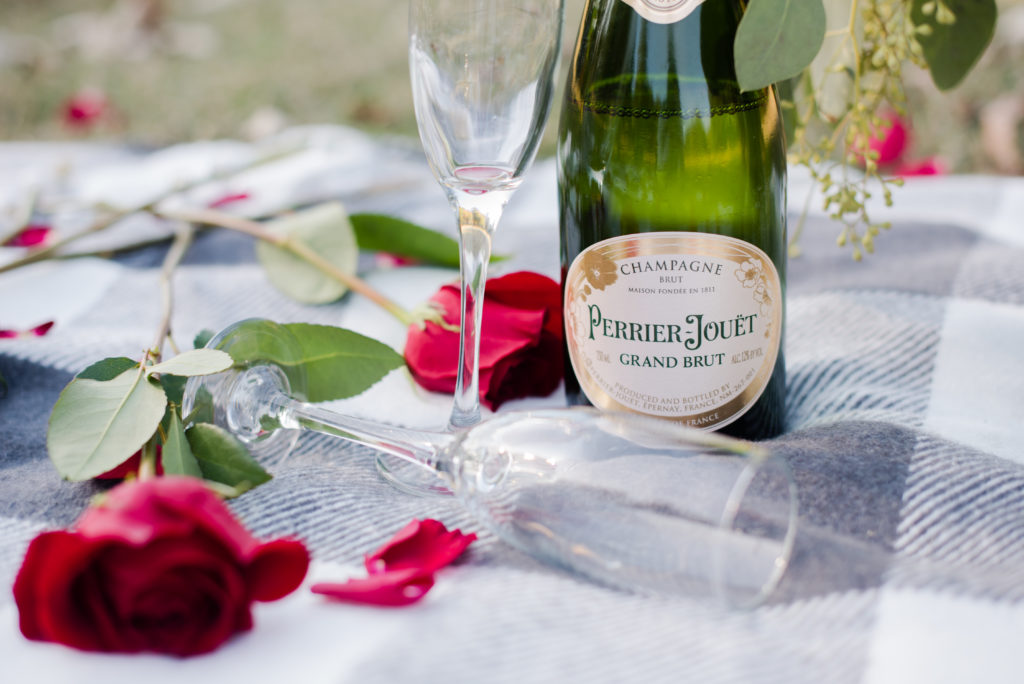 Champagne and Roses at Piedmont Park engagement proposal,candace abbitt photography photography