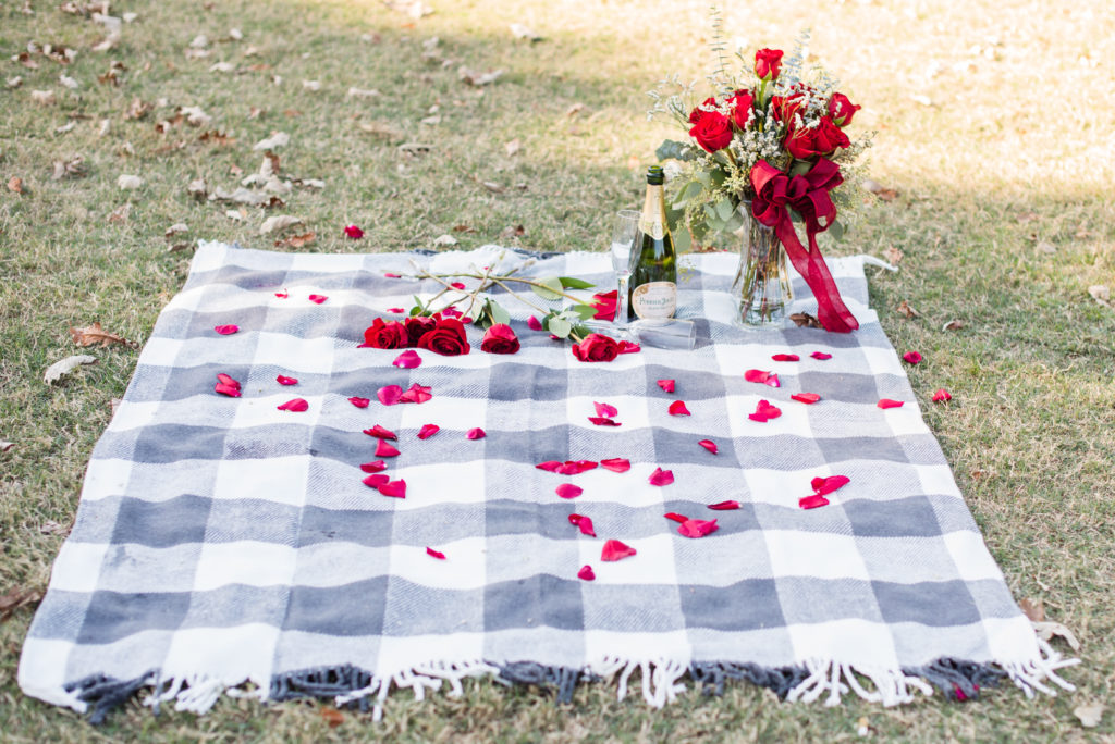 Red roses and picnic blanket, proposal at Piedmont Park Atlanta,candace abbitt photography photography