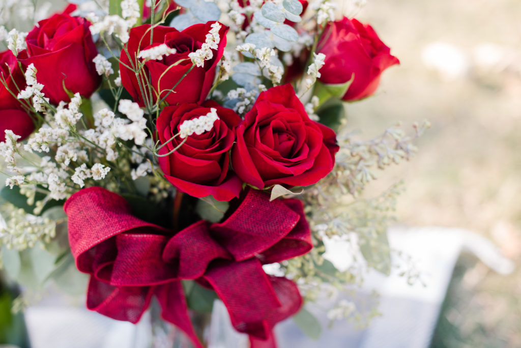 Red roses at Piedmont park,candace abbitt photography photography
