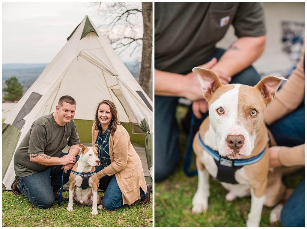 Couple wearing green posing with their dog in front a tent with their dog at their engagement session
